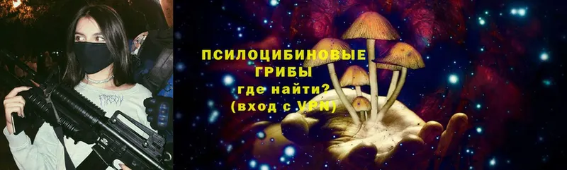 Псилоцибиновые грибы Magic Shrooms  Ершов 